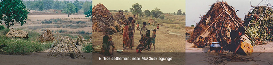 Birhor tribal settlement near McCluskiegunge Jharkhand